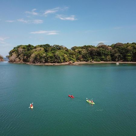 The Resort At Isla Palenque Member Of The Cayuga Collection Boca Chica Exteriér fotografie